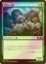 [FOIL] 茨隠れの狼/Thornhide Wolves 【日本語版】 [M19-緑C]