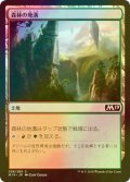 [FOIL] 森林の地溝/Timber Gorge 【日本語版】 [M19-土地C]