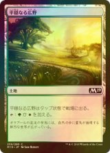 [FOIL] 平穏なる広野/Tranquil Expanse 【日本語版】 [M19-土地C]