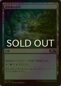 [FOIL] 森林地の小川/Woodland Stream 【日本語版】 [M19-土地C]
