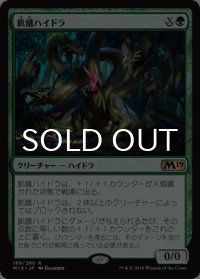 飢餓ハイドラ/Hungering Hydra 【日本語版】 [M19-緑R]
