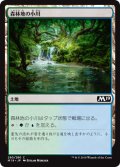 森林地の小川/Woodland Stream 【日本語版】 [M19-土地C]