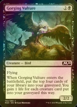 画像1: [FOIL] 貪る禿鷹/Gorging Vulture 【英語版】 [M20-黒C]