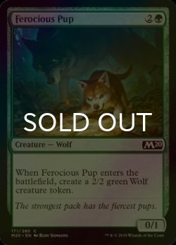画像1: [FOIL] 獰猛な仔狼/Ferocious Pup 【英語版】 [M20-緑C]