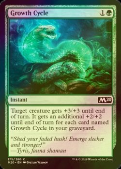 画像1: [FOIL] 成長周期/Growth Cycle 【英語版】 [M20-緑C]