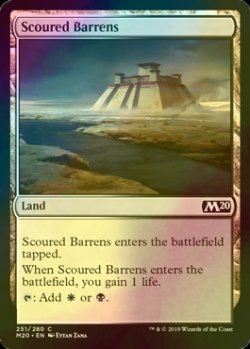 画像1: [FOIL] 磨かれたやせ地/Scoured Barrens 【英語版】 [M20-土地C]