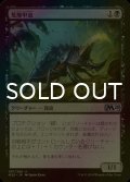 [FOIL] 荒廃甲虫/Blightbeetle 【日本語版】 [M20-黒U]