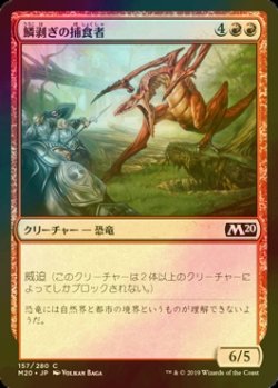 画像1: [FOIL] 鱗剥ぎの捕食者/Ripscale Predator 【日本語版】 [M20-赤C]