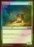 [FOIL] 獰猛な仔狼/Ferocious Pup 【日本語版】 [M20-緑C]