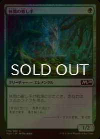 [FOIL] 林間の癒し手/Healer of the Glade 【日本語版】 [M20-緑C]
