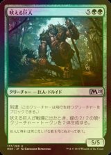 [FOIL] 吠える巨人/Howling Giant 【日本語版】 [M20-緑U]