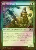 [FOIL] 土覆いのシャーマン/Loaming Shaman 【日本語版】 [M20-緑U]