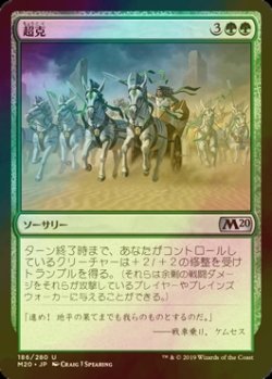 画像1: [FOIL] 超克/Overcome 【日本語版】 [M20-緑U]