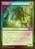 [FOIL] はびこる精霊/Overgrowth Elemental 【日本語版】 [M20-緑U]