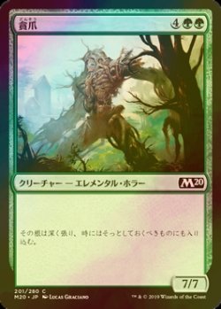 画像1: [FOIL] 貪爪/Vorstclaw 【日本語版】 [M20-緑C]