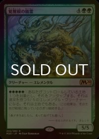 [FOIL] 覚醒根の精霊/Wakeroot Elemental 【日本語版】 [M20-緑R]