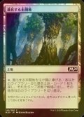 [FOIL] 進化する未開地/Evolving Wilds 【日本語版】 [M20-土地C]