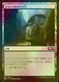 [FOIL] ジャングルのうろ穴/Jungle Hollow 【日本語版】 [M20-土地C]