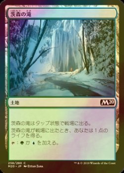 画像1: [FOIL] 茨森の滝/Thornwood Falls 【日本語版】 [M20-土地C]