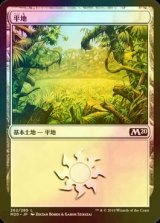 [FOIL] 平地/Plains No.262 【日本語版】 [M20-土地C]