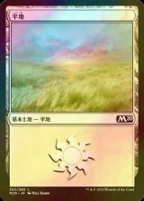 [FOIL] 平地/Plains No.263 【日本語版】 [M20-土地C]