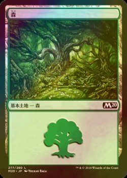 画像1: [FOIL] 森/Forest No.277 【日本語版】 [M20-土地C]