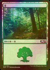 [FOIL] 森/Forest No.278 【日本語版】 [M20-土地C]