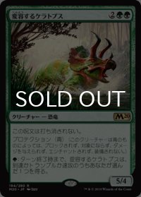 変容するケラトプス/Shifting Ceratops 【日本語版】 [M20-緑R]