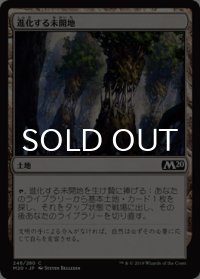 進化する未開地/Evolving Wilds 【日本語版】 [M20-土地C]