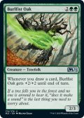 節くれ拳の樫/Burlfist Oak 【英語版】 [M21-緑U]