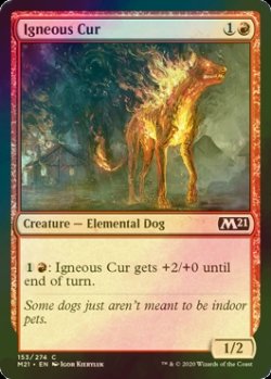 画像1: [FOIL] 炎血の野犬/Igneous Cur 【英語版】 [M21-赤C]