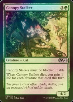 画像1: [FOIL] 梢の忍び寄り/Canopy Stalker 【英語版】 [M21-緑U]