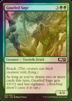 画像1: [FOIL] 節くれの賢者/Gnarled Sage 【英語版】 [M21-緑C]