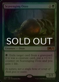 [FOIL] 漁る軟泥/Scavenging Ooze 【英語版】 [M21-緑R]