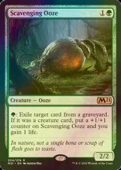 画像1: [FOIL] 漁る軟泥/Scavenging Ooze 【英語版】 [M21-緑R]