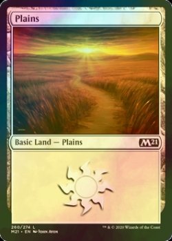 画像1: [FOIL] 平地/Plains No.260 【英語版】 [M21-土地C]