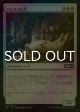 [FOIL] やんちゃな犬/Rambunctious Mutt 【日本語版】 [M21-白C]