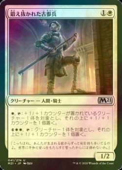 画像1: [FOIL] 鍛え抜かれた古参兵/Tempered Veteran 【日本語版】 [M21-白U]