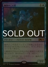 [FOIL] 幽体のこそ泥/Ghostly Pilferer 【日本語版】 [M21-青R]