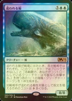 画像1: [FOIL] 追われる鯨/Pursued Whale 【日本語版】 [M21-青R]