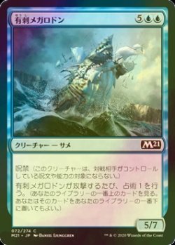 画像1: [FOIL] 有刺メガロドン/Spined Megalodon 【日本語版】 [M21-青C]