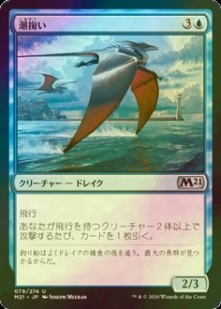 画像1: [FOIL] 潮掬い/Tide Skimmer 【日本語版】 [M21-青U]