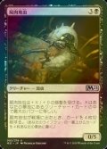 [FOIL] 屍肉地虫/Carrion Grub 【日本語版】 [M21-黒U]