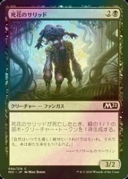 画像1: [FOIL] 死花のサリッド/Deathbloom Thallid 【日本語版】 [M21-黒C]