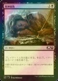 [FOIL] 精神腐敗/Mind Rot 【日本語版】 [M21-黒C]