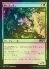 [FOIL] 梢の忍び寄り/Canopy Stalker 【日本語版】 [M21-緑U]