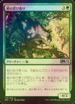 画像1: [FOIL] 梢の忍び寄り/Canopy Stalker 【日本語版】 [M21-緑U]