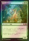 [FOIL] 巨大な戦慄大口/Colossal Dreadmaw 【日本語版】 [M21-緑C]