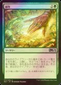 [FOIL] 耕作/Cultivate 【日本語版】 [M21-緑U]