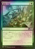 [FOIL] 菌類の再誕/Fungal Rebirth 【日本語版】 [M21-緑U]